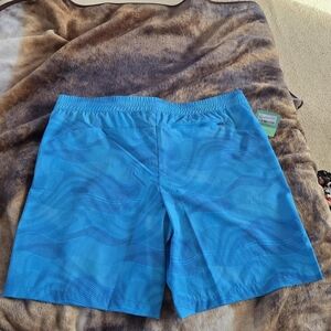 Bright Blue Swim Shorts